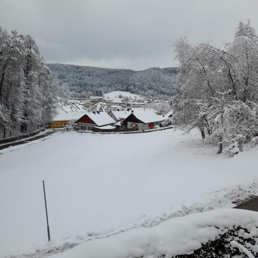 Haus Am Schloss Bleiburg Exteriér fotografie